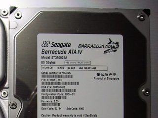 Barracuda ATA IV 80GB